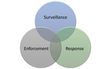 Network Security Venn Diagram