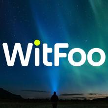 WitFoo on Horizon